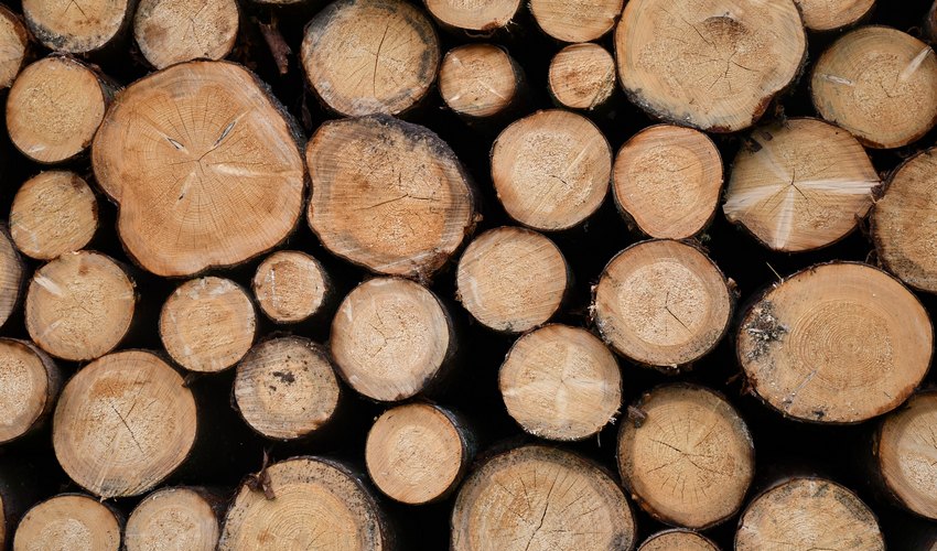 Via libera al Registro delle imprese del settore legno